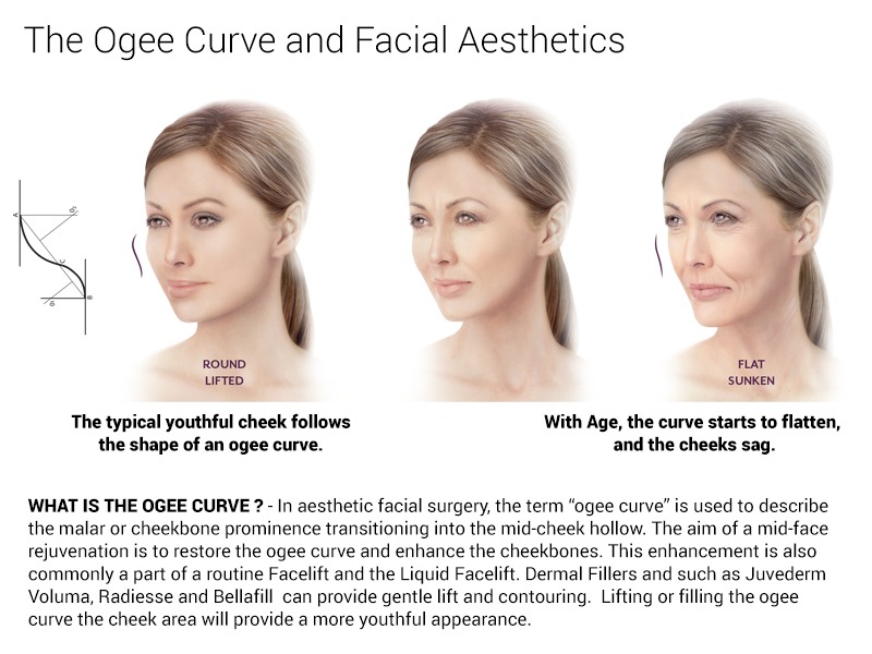 Maintain a youthful appearance by maintaining the ogee curve. With age the ogee curve starts to flatten and the cheeks start to sag.